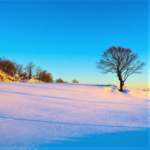 حتی درختان نیز می‌دانند زمستان موقتی است،.. با انرژی می‌مانند و بعد از آن دوباره شکوفه می‌دهند …